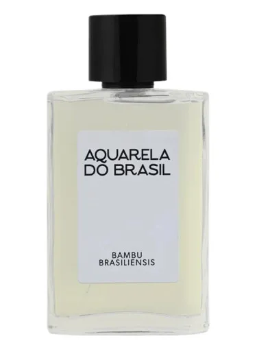 Imagen de Bambu Brasiliensis