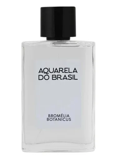 Imagen de Bromélia Botanicus