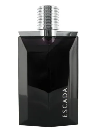 Imagen de Escada Magnetism for Men