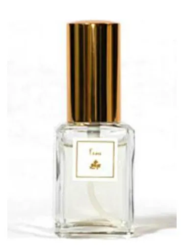 Perfume L’eau de DSH Perfumes