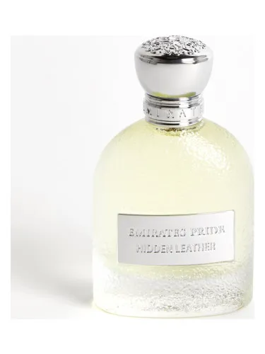 Imagen de Hidden Leather