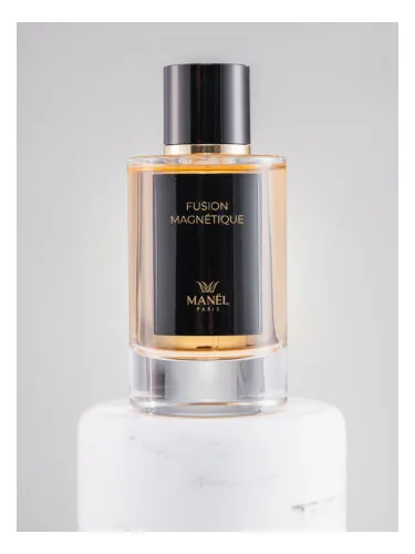 Imagen de Fusion Magnétique