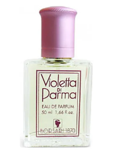 Imagen de Violetta di Parma