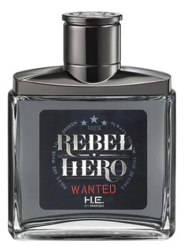 Imagen de Rebel Hero Wanted