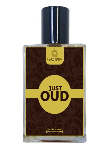Imagen de Just Oud