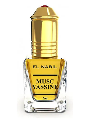 Imagen de Musc Yassine