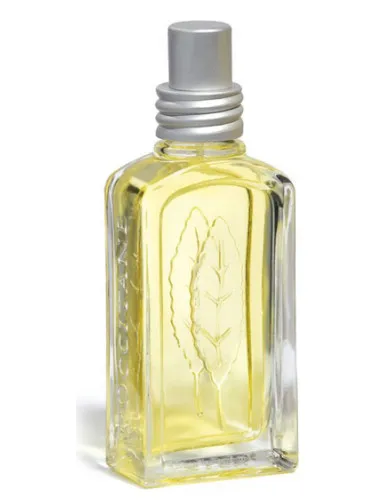 Imagen de Verveine Agrumes 2008