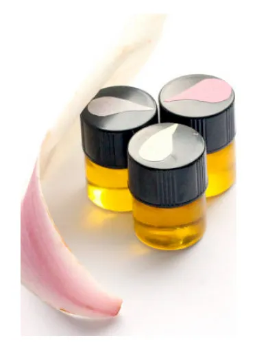 Imagen de Magnolia Grove Perfume Trio