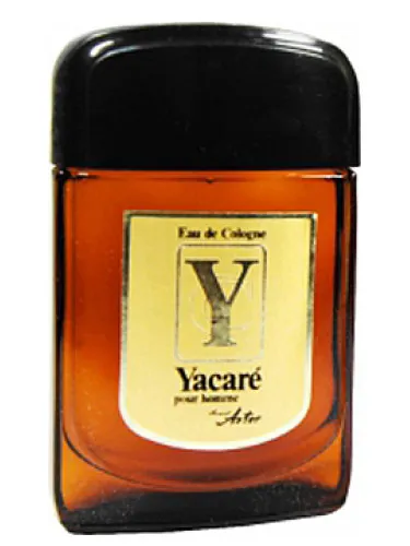 Imagen de Yacaré