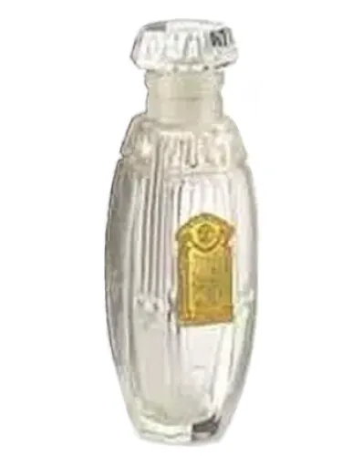 Imagen de Ambre Romain