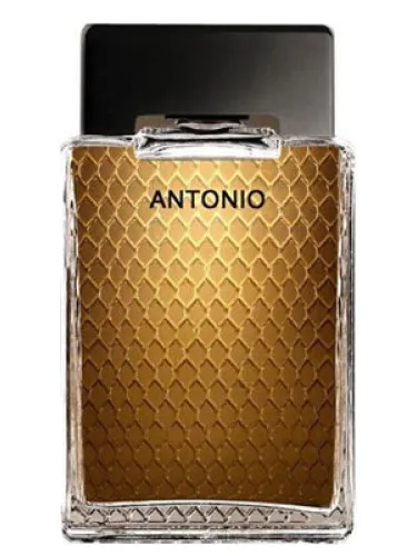Imagen de Antonio