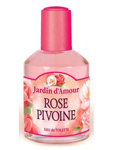 Imagen de Rose Pivoine
