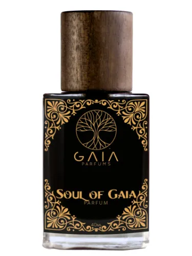 Imagen de Soul of Gaia