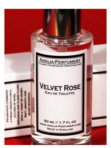 Imagen de Velvet Rose