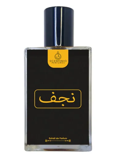 Imagen de Najaf