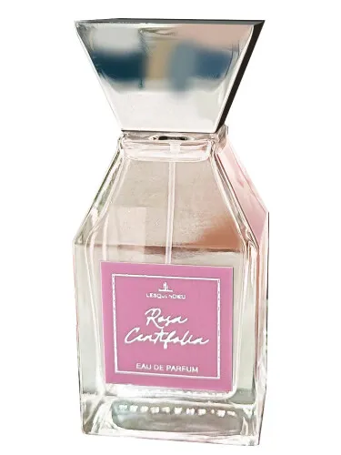 Imagen de Rosa Centifolia