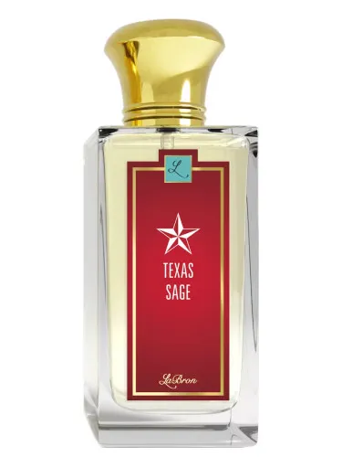 Imagen de Texas Sage