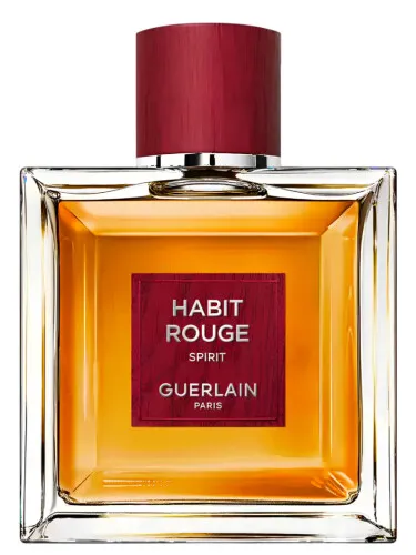 Imagen de Habit Rouge Spirit