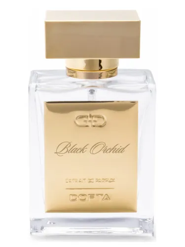 Imagen de Black Orchid