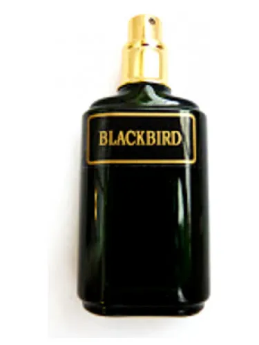 Imagen de Blackbird