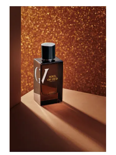 Imagen de Soul Of Oud