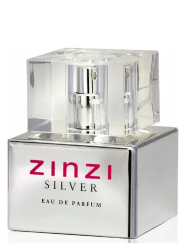 Imagen de Zinzi Silver