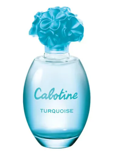 Imagen de Cabotine Turquoise