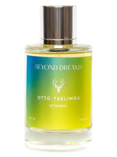 Imagen de Beyond Dreams