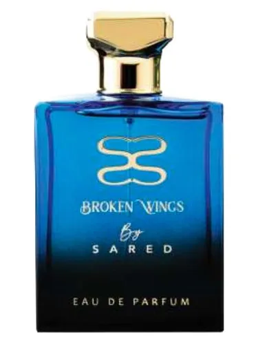 Imagen de Broken Wings