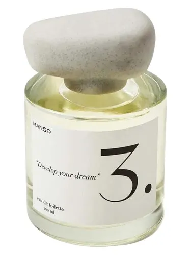 Imagen de 3. Develop Your Dream