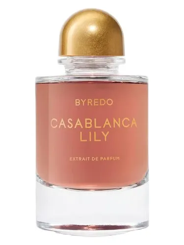 Imagen de Casablanca Lily 2025