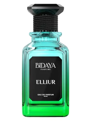 Imagen de Elliur
