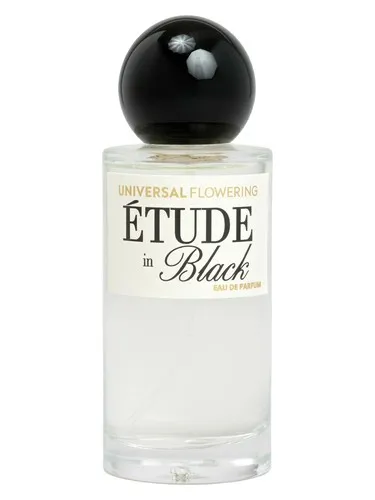 Imagen de Étude in Black