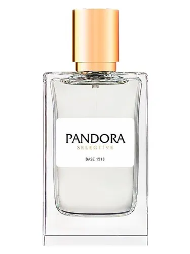 Imagen de Pandora Selective Base 1513