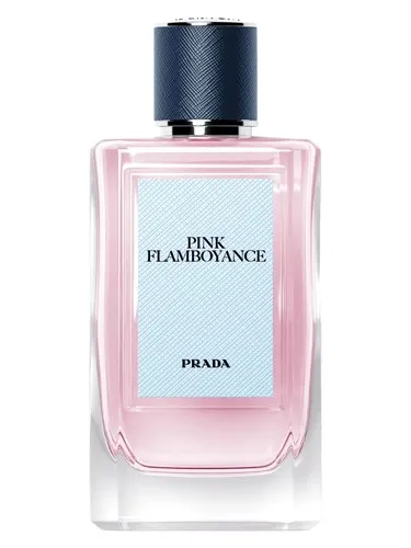 Imagen de Pink Flamboyance