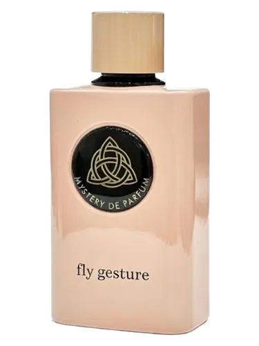 Imagen de Fly Gesture