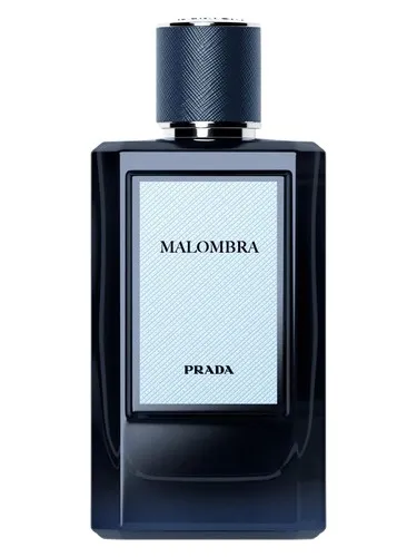 Imagen de Malombra